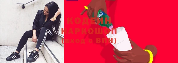 сатива Горно-Алтайск