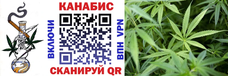 hydra вход  Дигора  Бошки марихуана сатива 